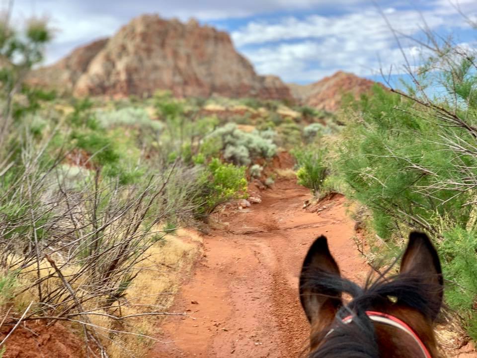 Flash Utah