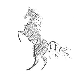 hoof armor_activities horse